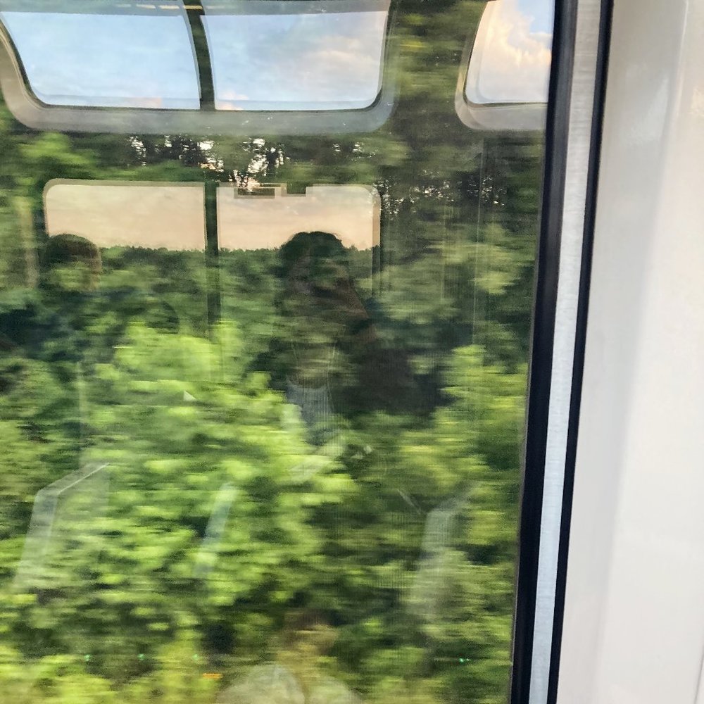 Meet your Posher, Priscilla